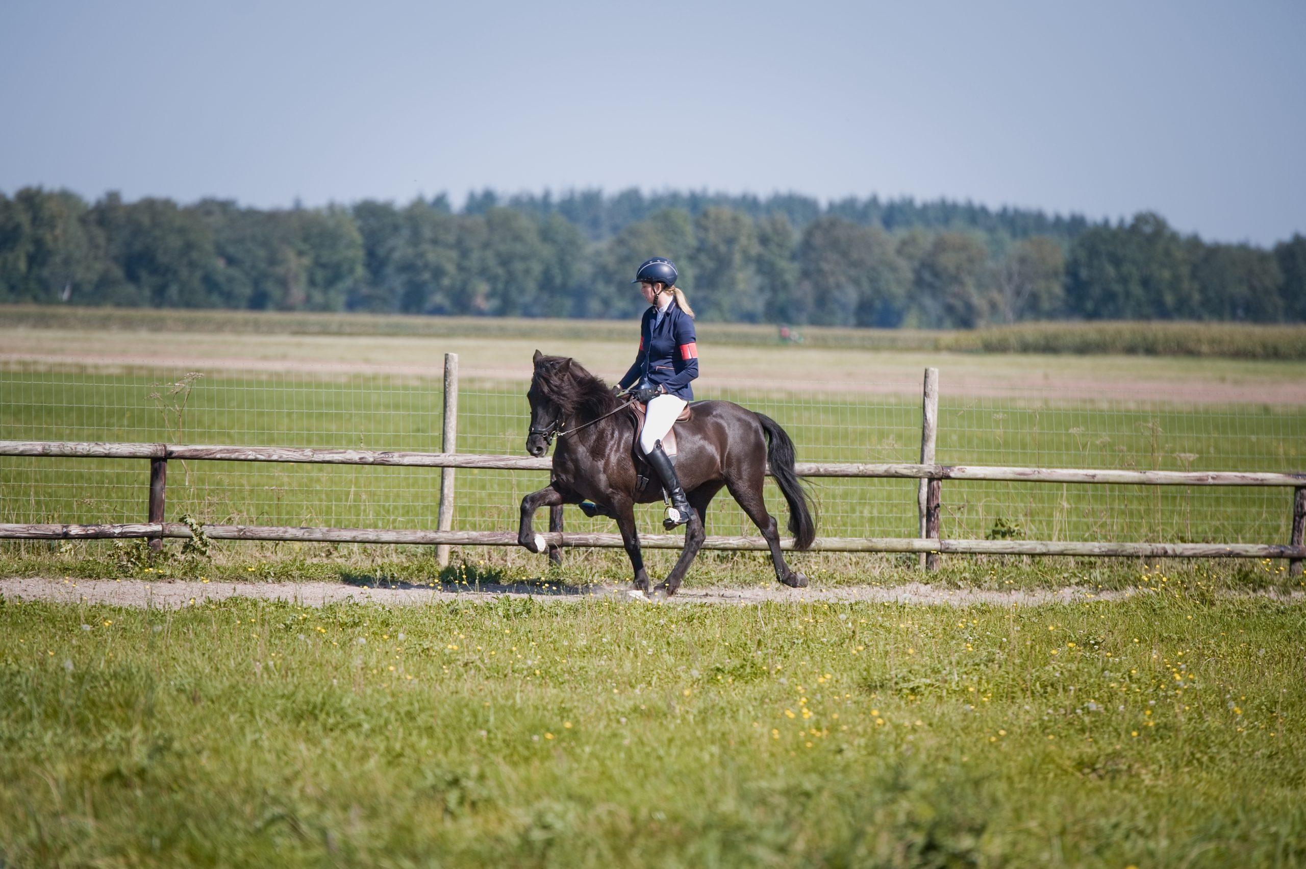 WR Móskógar II 2026