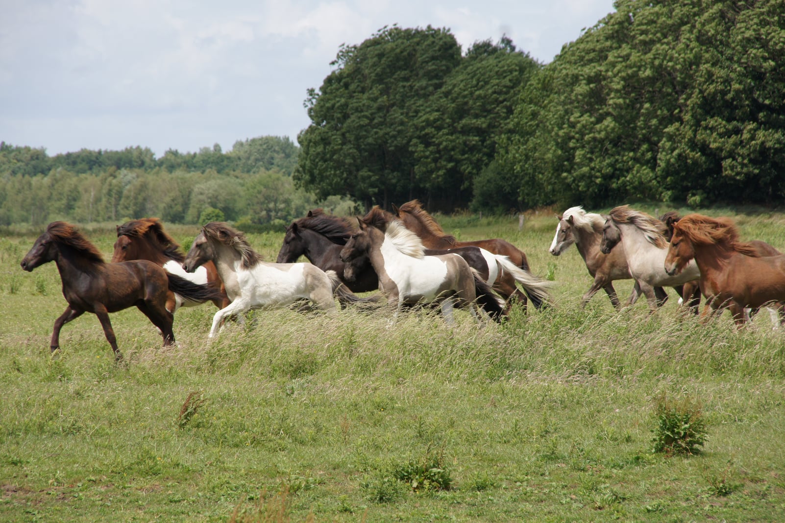 Aangeleverd door Anneke