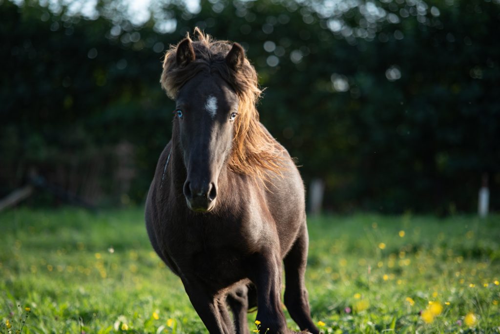 JVV Communicatie & Media